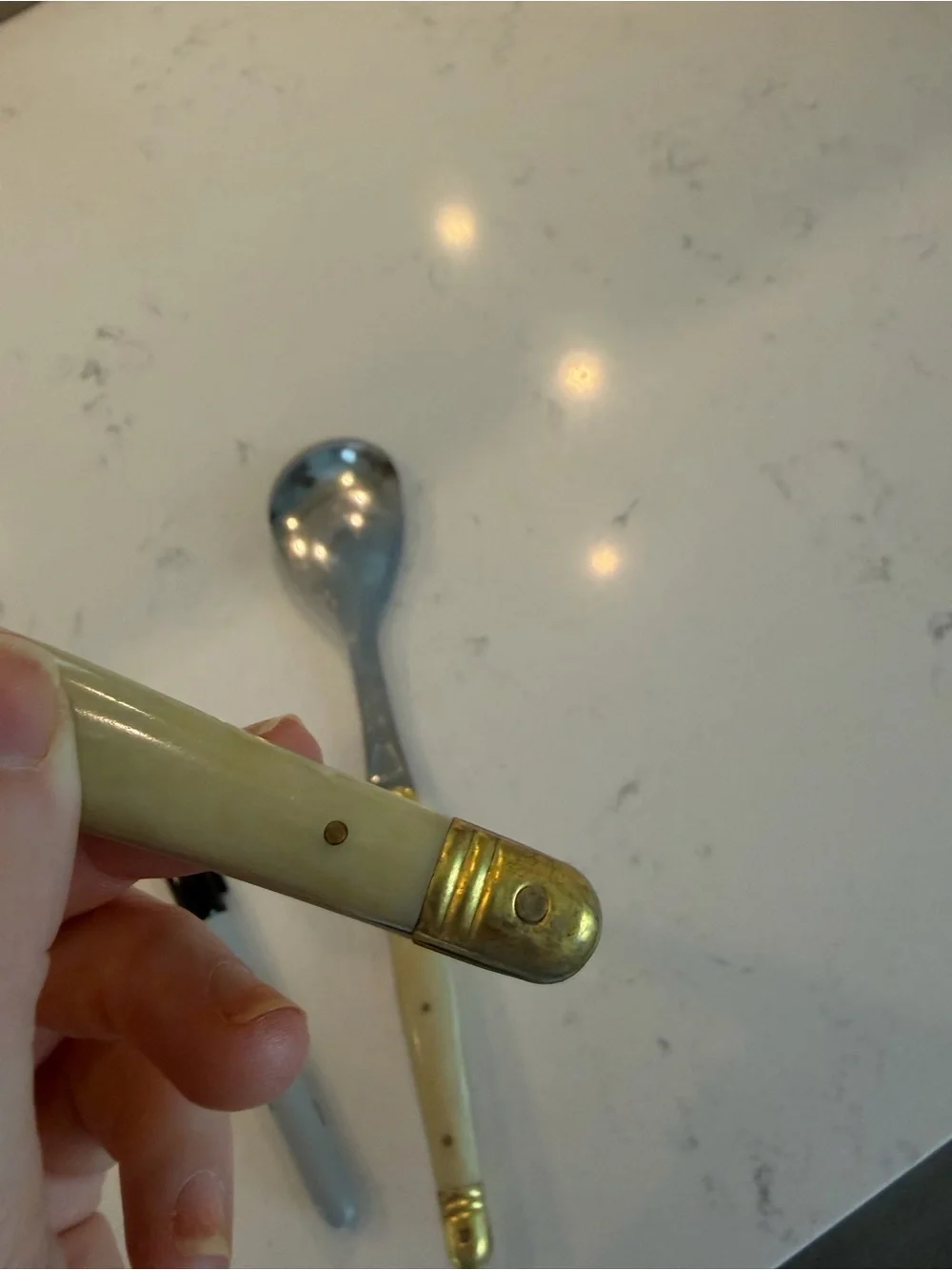 Set of 2 Laguiole Serving Spoons